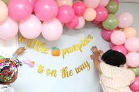 A Little Pumpkin Is On The Way NOV.25.2023