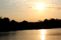 RasBlank featured photos